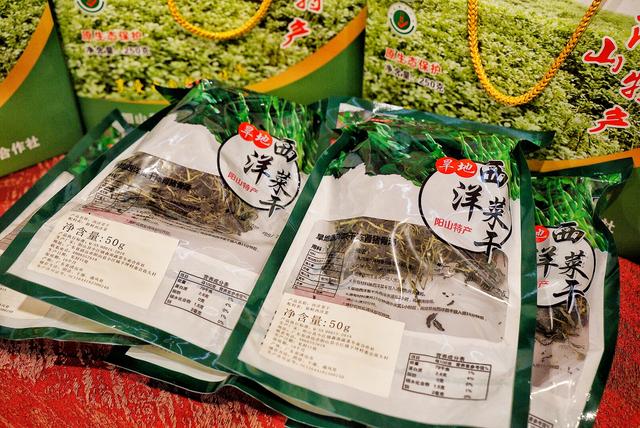 走进秋天的童话世界11月去阳山小江赏最美千年银杏
