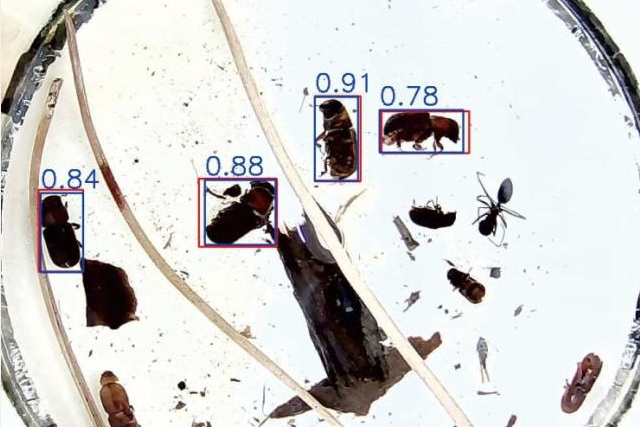 百度飞桨paddlepaddle持续助力万千开发者领跑ai全面发展新道路