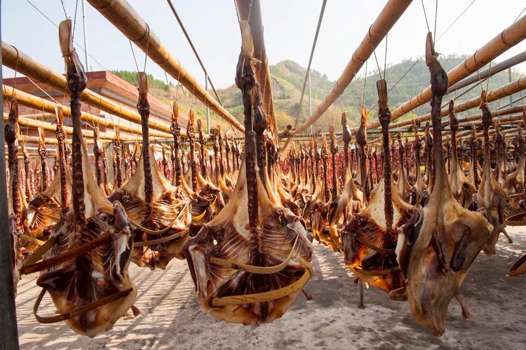 秋风起,食腊味_连州