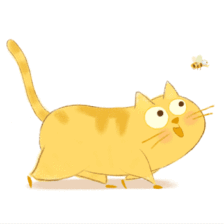 224_224gif 动态图 动图