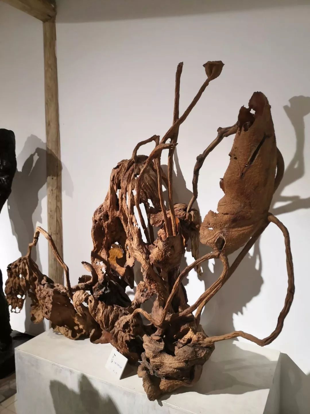 吴坤木雕残荷系列