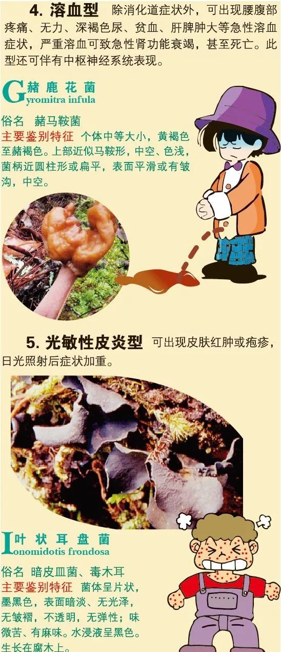 毒蘑菇的鉴别及其中毒后的自救