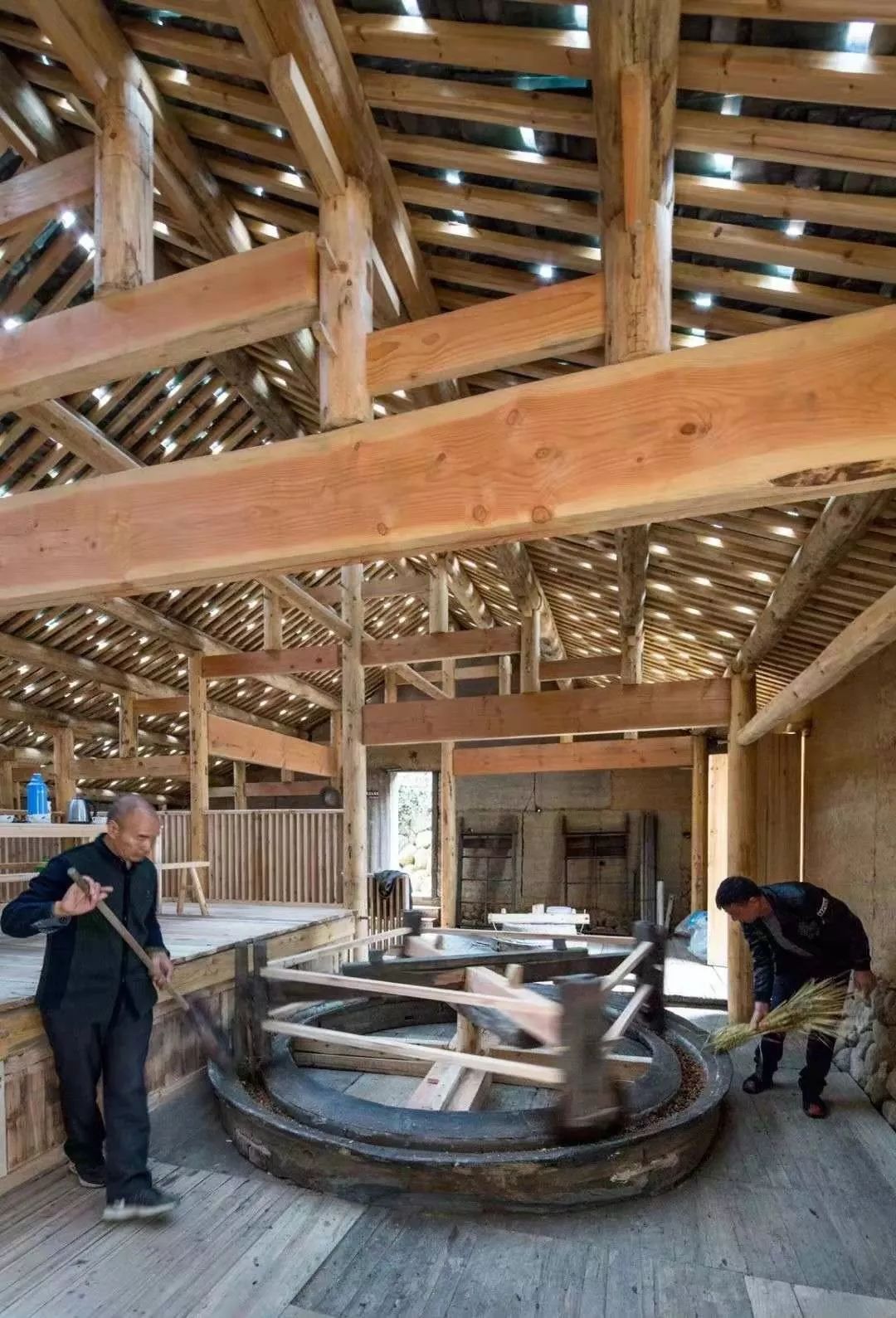 5年走过上百个村庄徐甜甜书写的松阳故事