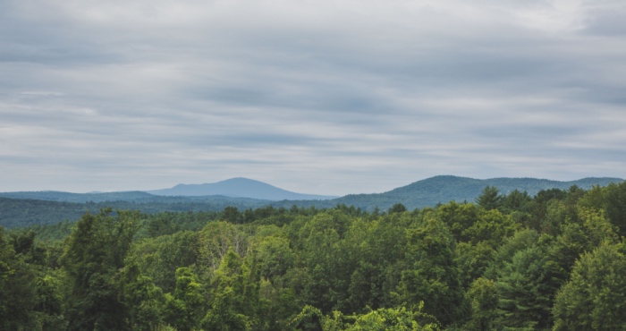消费前置只是加速渠道分化，地产商才是家电企业的“死穴”-家电圈官网
