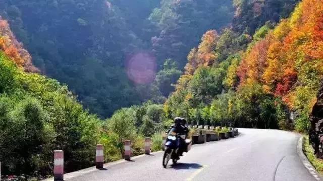 黄花岭—最美赏秋自驾游公路