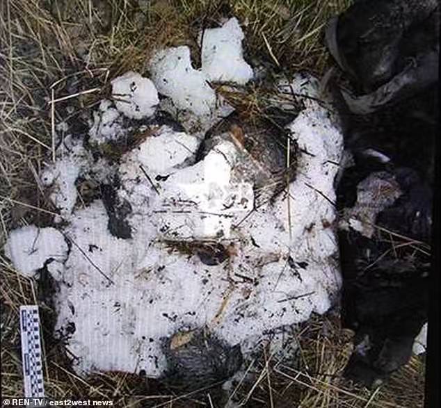 俄情侣命案:他弄死了她的猫,她铁锤砸破了他的头,还把他锯了