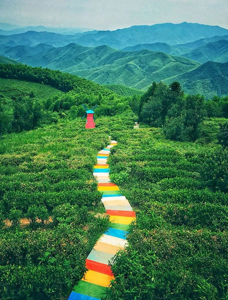 揭秘莫干山新晋"隐藏玩法"!热气球,彩虹公路.秋游约起!