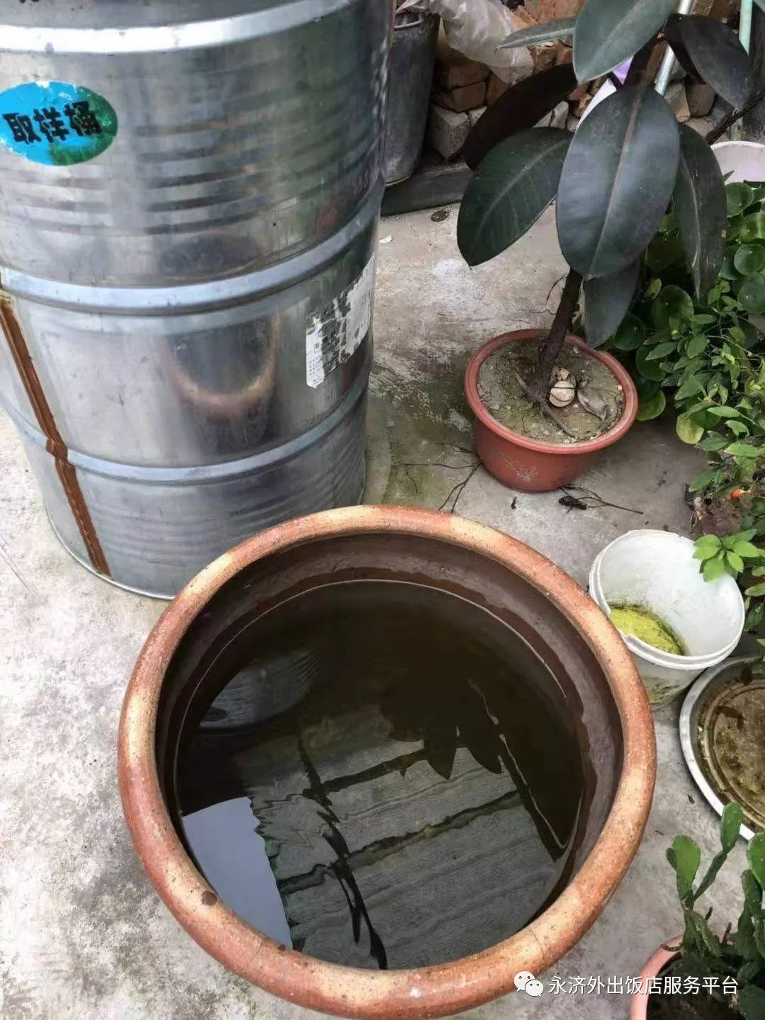 (盆盆罐罐接的下雨水)