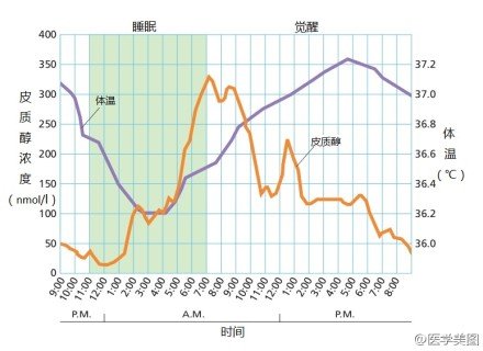 雄性激素分泌图片