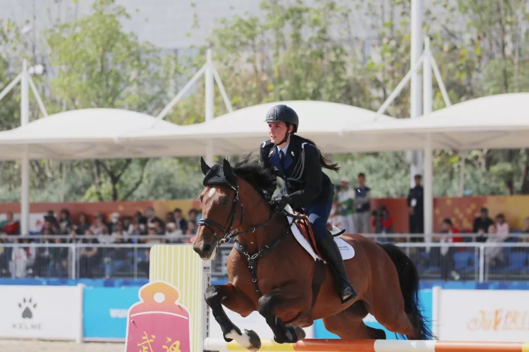 馬術項目在武漢商學院首戰打響大批高顏值騎士來襲