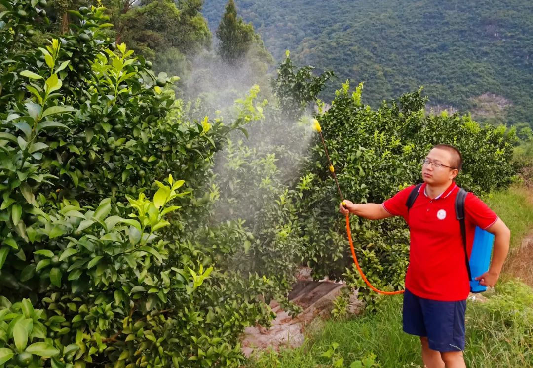 高效低刺激更显真功夫诺普信功夫菊酯再出发