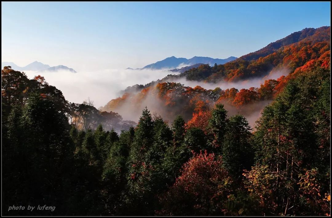 秋天的馬鬃嶺,一幅色彩絢麗的油畫!