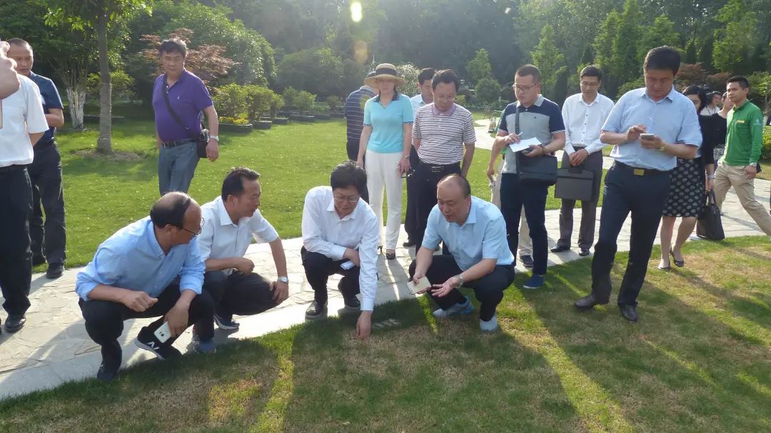 重生,但依旧存在"隐患":树木树种单一导致杨树林可能会在20年之后退萎