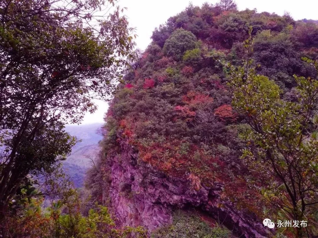 據瞭解,永州擁有的國家森林公園包括:寧遠九嶷山國家森林公園,雙牌