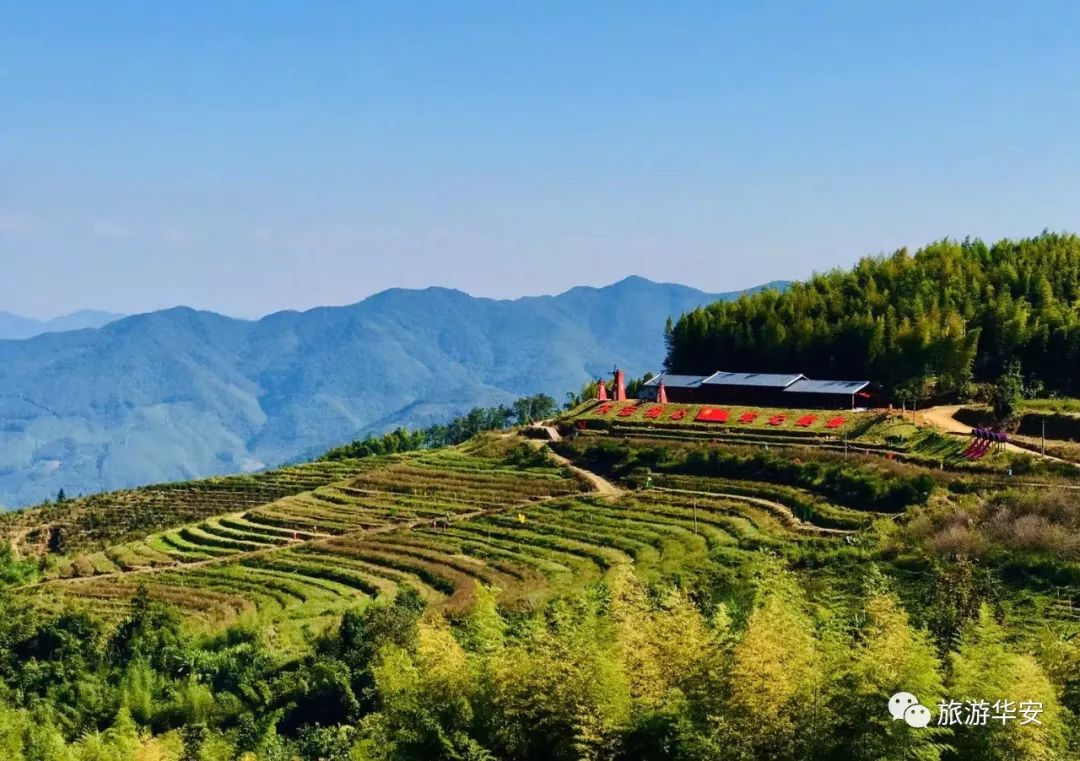 华安县高石村旅游图片