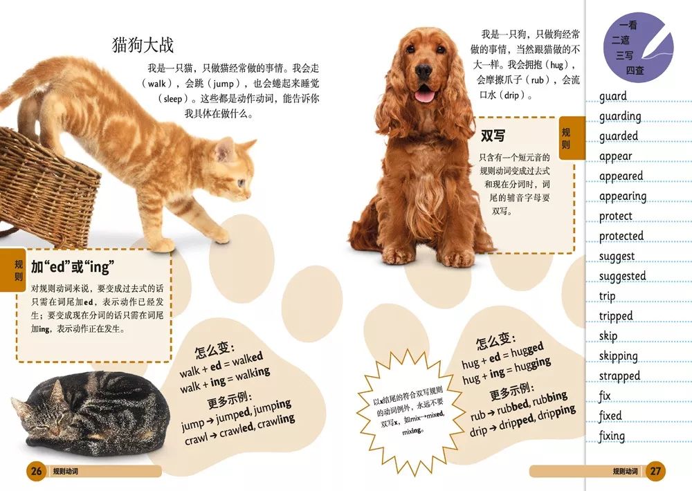 美芽优选丨dk儿童英语基础必备,轻松帮孩子打下坚实