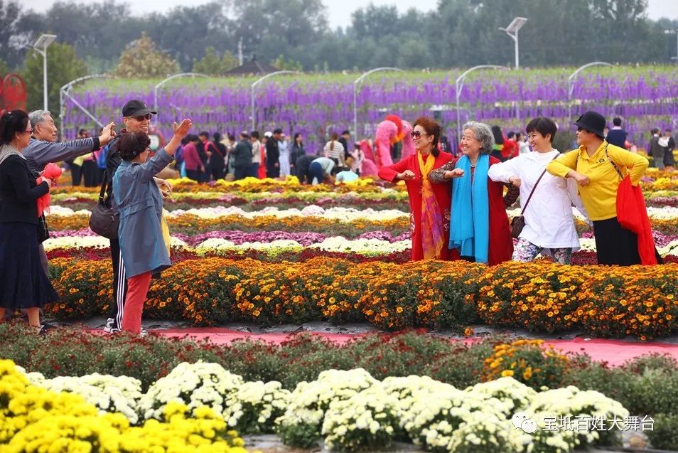 《赏菊(新韵)盛装难掩菊香艳九九重阳祈健宁子孝携亲观美景喜闻耳畔