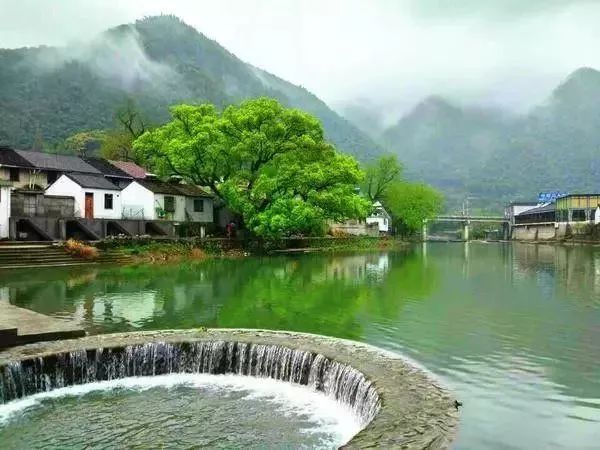 24走文藝宋明古道 ,探秘裘岙村玻璃棧道(已經成團)_餘姚