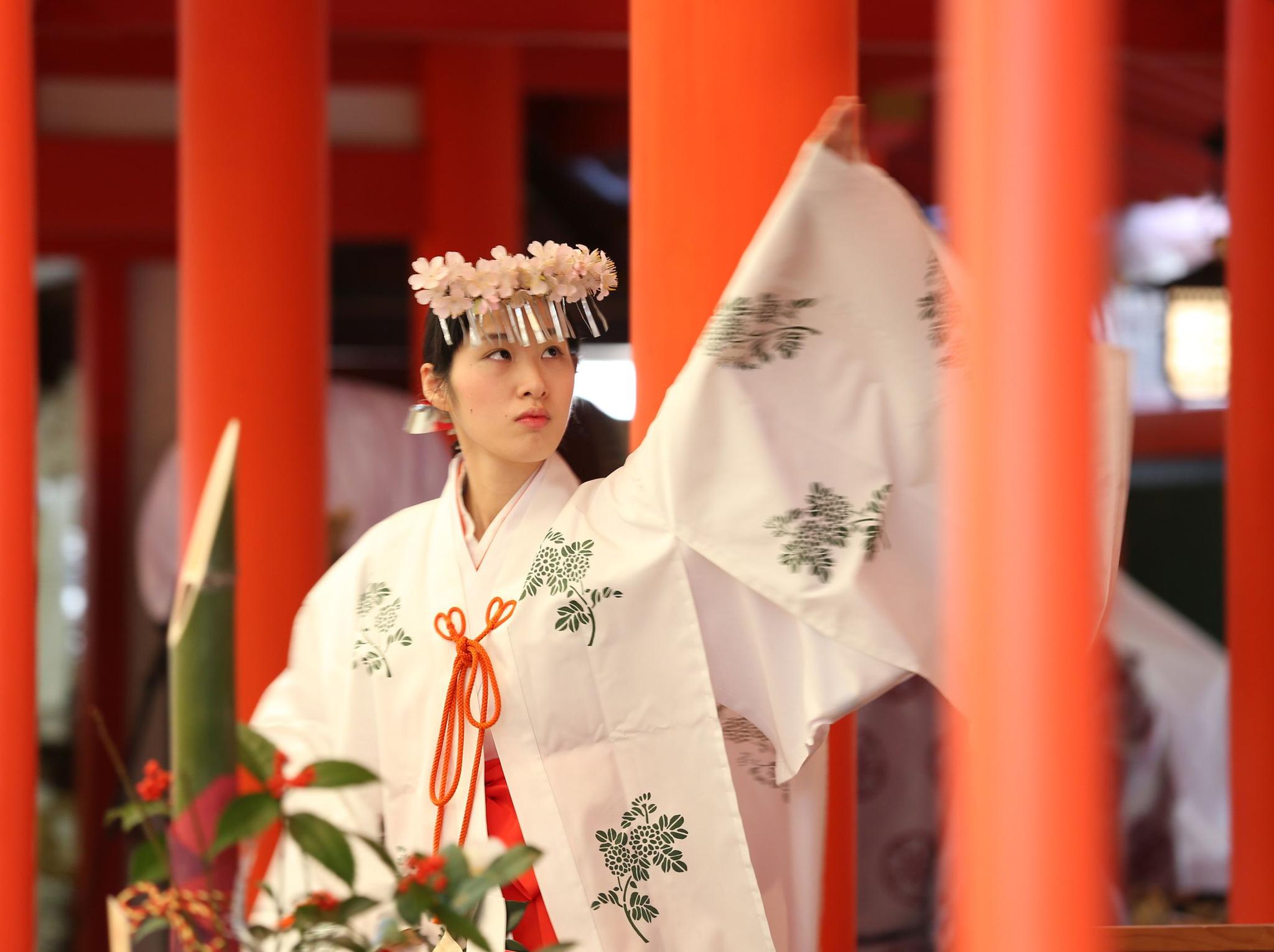 一组日本神社巫女的真实照片