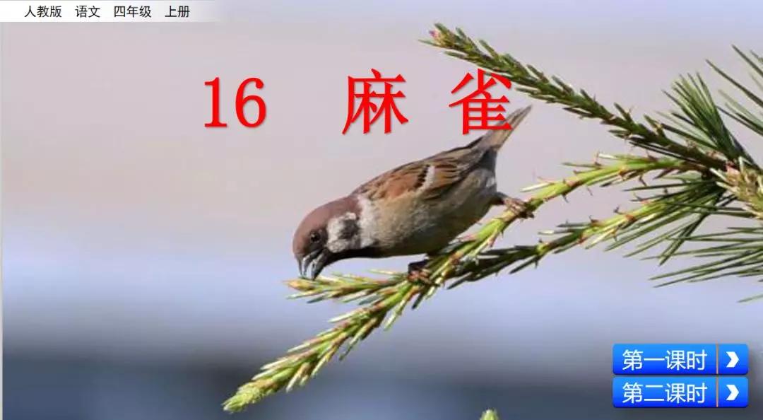 部编版四年级上册第16课麻雀图文讲解