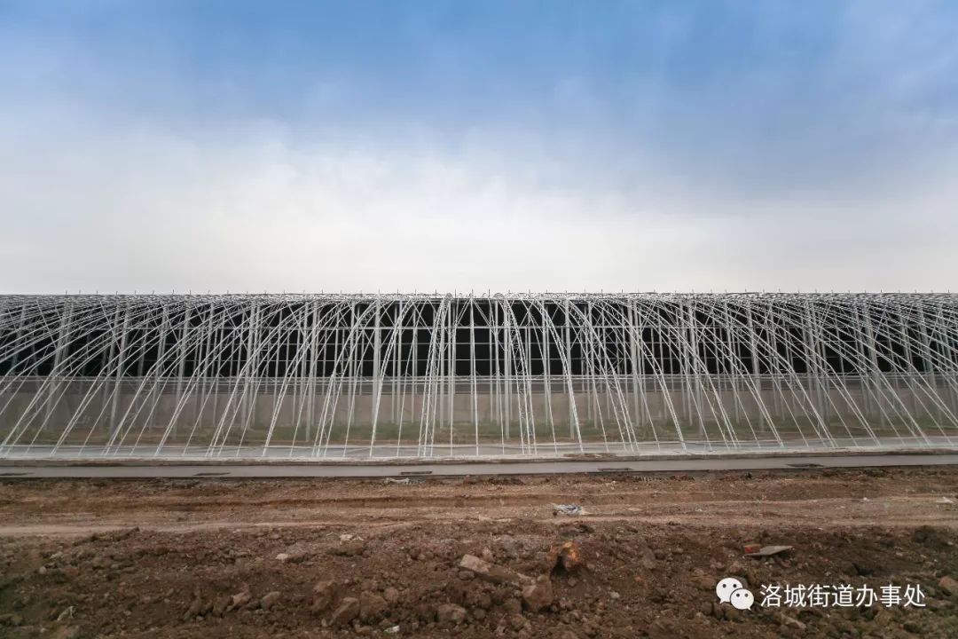 寿光要建蔬菜小镇投资17亿就在羊田路上