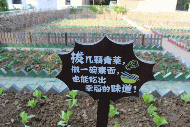 "菜园"变成了"特色园""创意园""艺术园""智慧园"!
