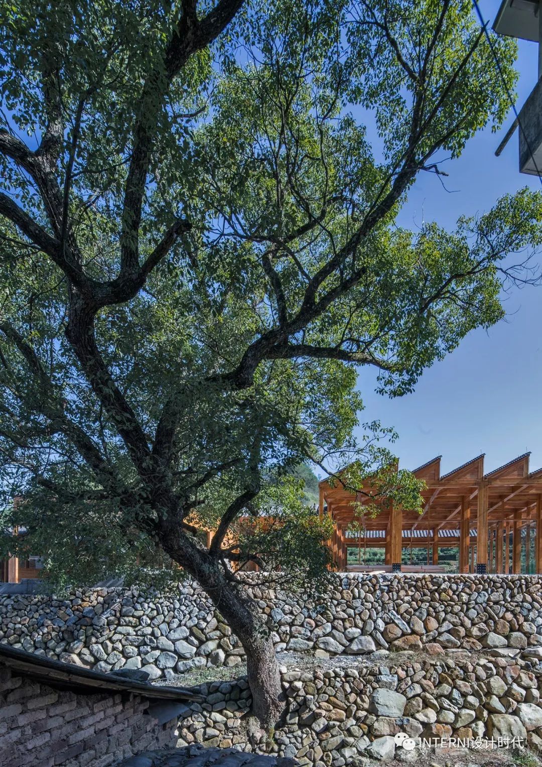 5年走过上百个村庄徐甜甜书写的松阳故事