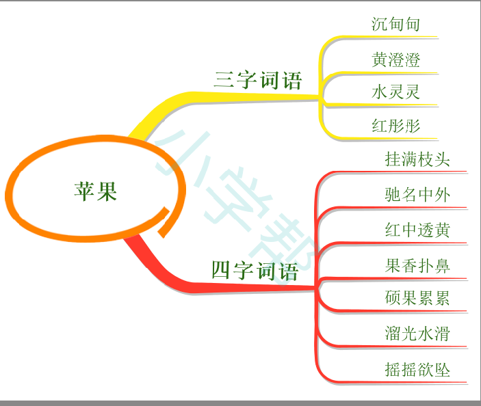 思维导图状物好词