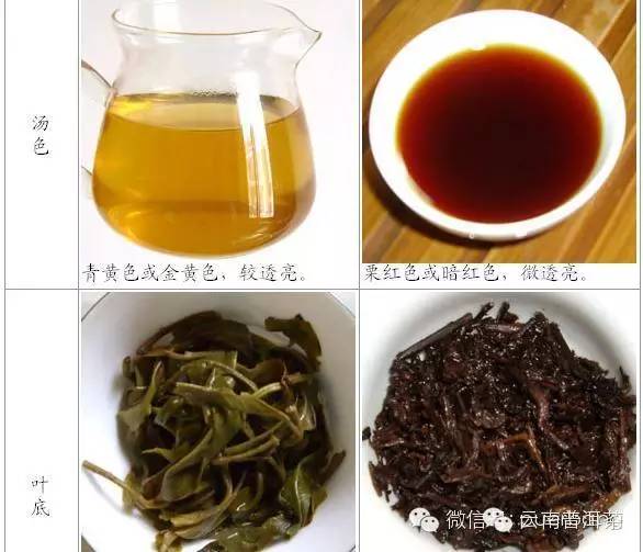 喝普洱茶的九大理疗功效