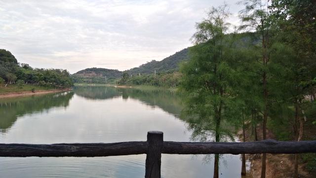 這段時間雨水多,東莞鳳崗黃洞水庫比平時綠得多了