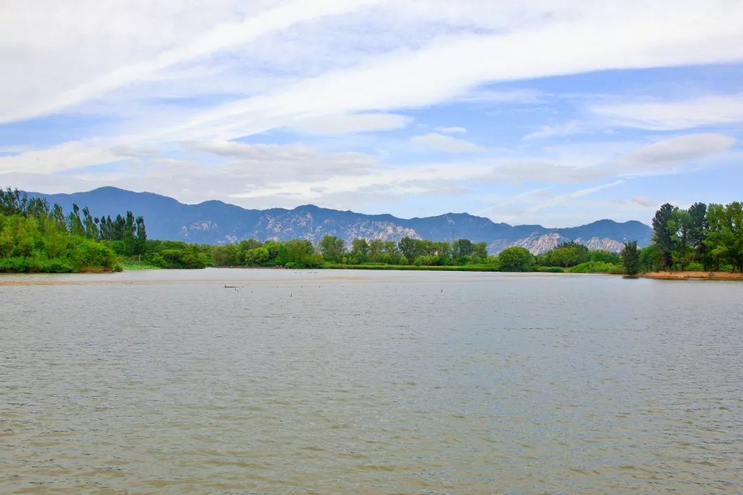 敲黑板翠湖溼地公園榮獲國家級榮譽啦