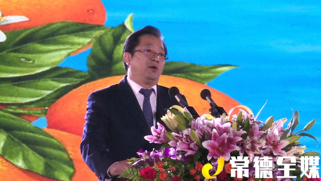 记者李欣 王振华 摄10月18日,2019第十九届湖南常德石门柑橘节暨文化