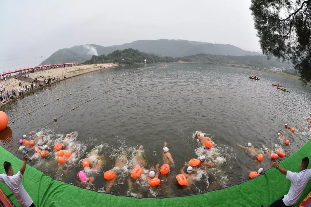 温州市"华亿杯"第五届公开水域游泳锦标赛在我县昆阳镇水亭后岙水库