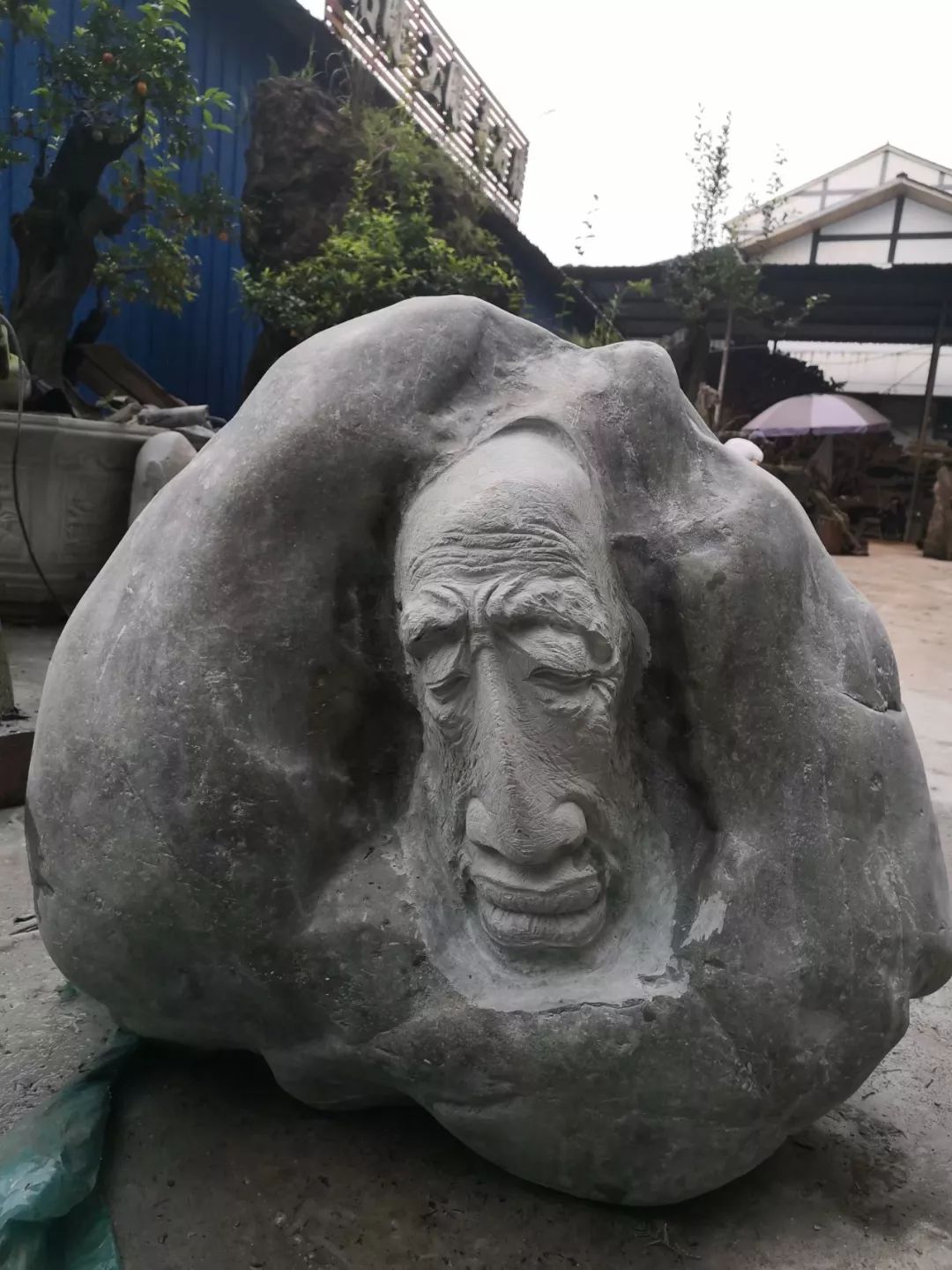 吴坤木雕残荷系列