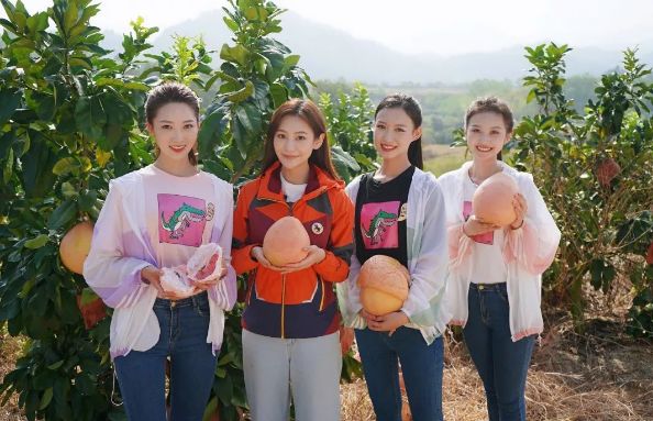 步步莲花美丽之旅