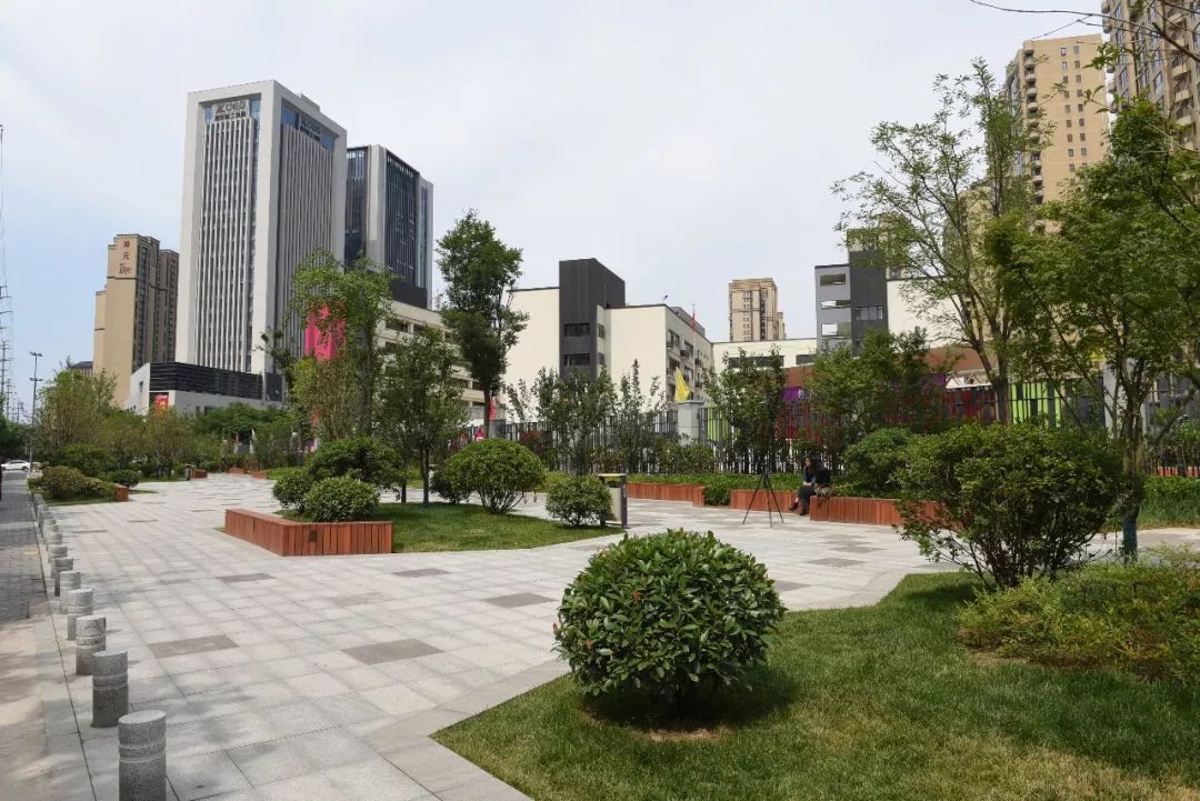 区通过规划留绿,见缝插绿,立体增绿,增加街角广场及口袋公园等方法