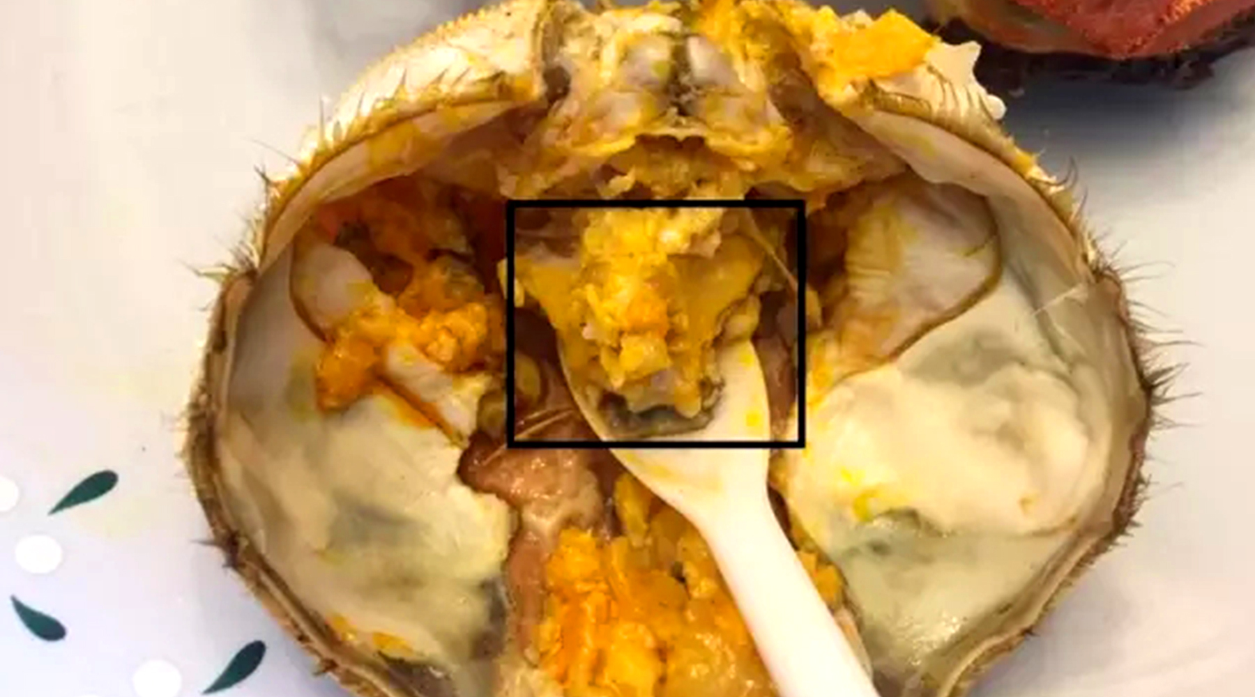 大闸蟹肥美的季节,吃个螃蟹却被谣言吓破胆!