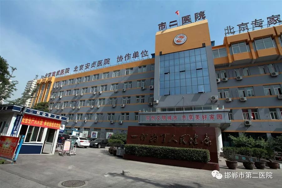 一枝独放不是春邯郸市第二医院四大中心建设纪实