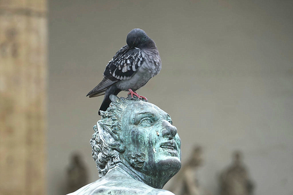 在旧宫的入口,是大卫像的复制品,米开朗基罗的原作保存在艺术学院画廊