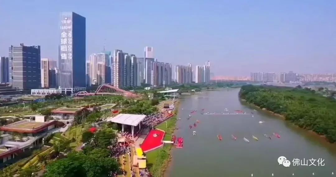 东平河上劈波破浪,顺德乐从夺得佛山"龙王"!_龙舟