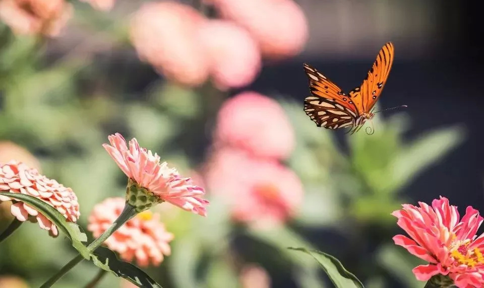 换下吴磊拉来陈飞宇代言，泥潭中的科沃斯能否在吸尘器市场突围-家电圈官网