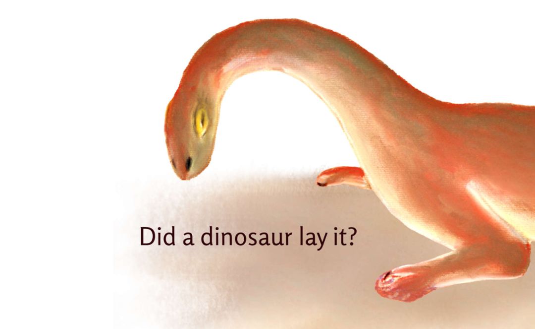 不是,是鲨鱼下的蛋.who laid the eggs here?谁在这里下了蛋?