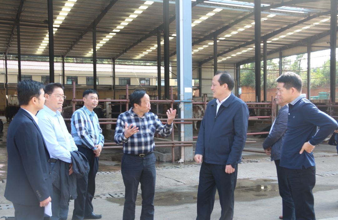 长沙市供销合作总社党委书记理事会主任余学辉一行抵达大河西农产品