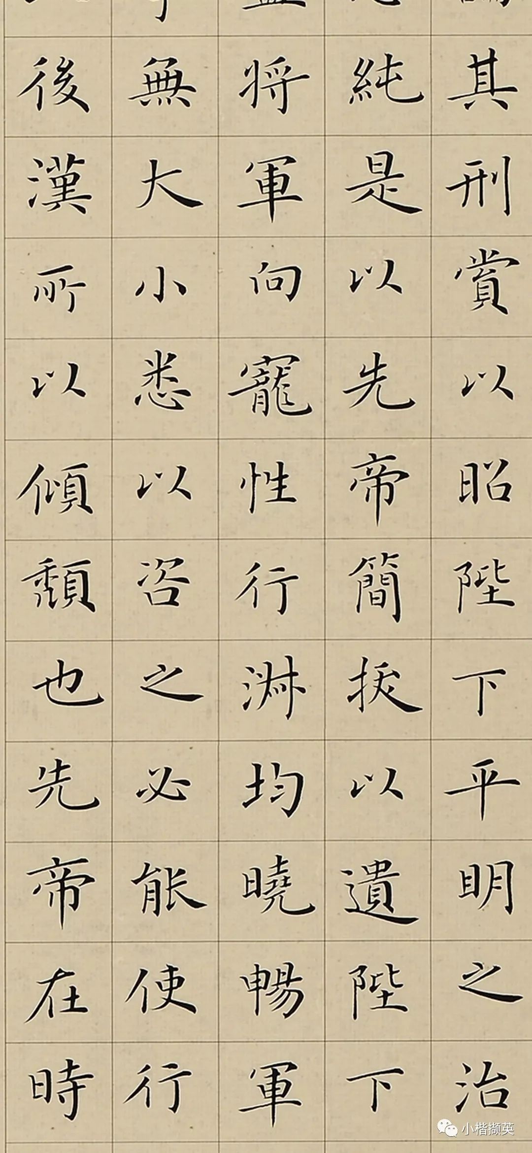 书法艺术，儿童成长路上的优雅步伐