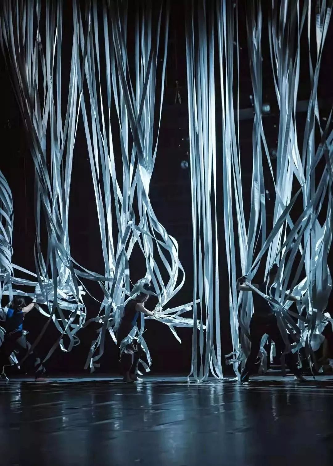 舞者:王馨梓,刘思诗,李怡纯子 ,彭春兰 , 张胜,赵凯行政统筹:赵美宁