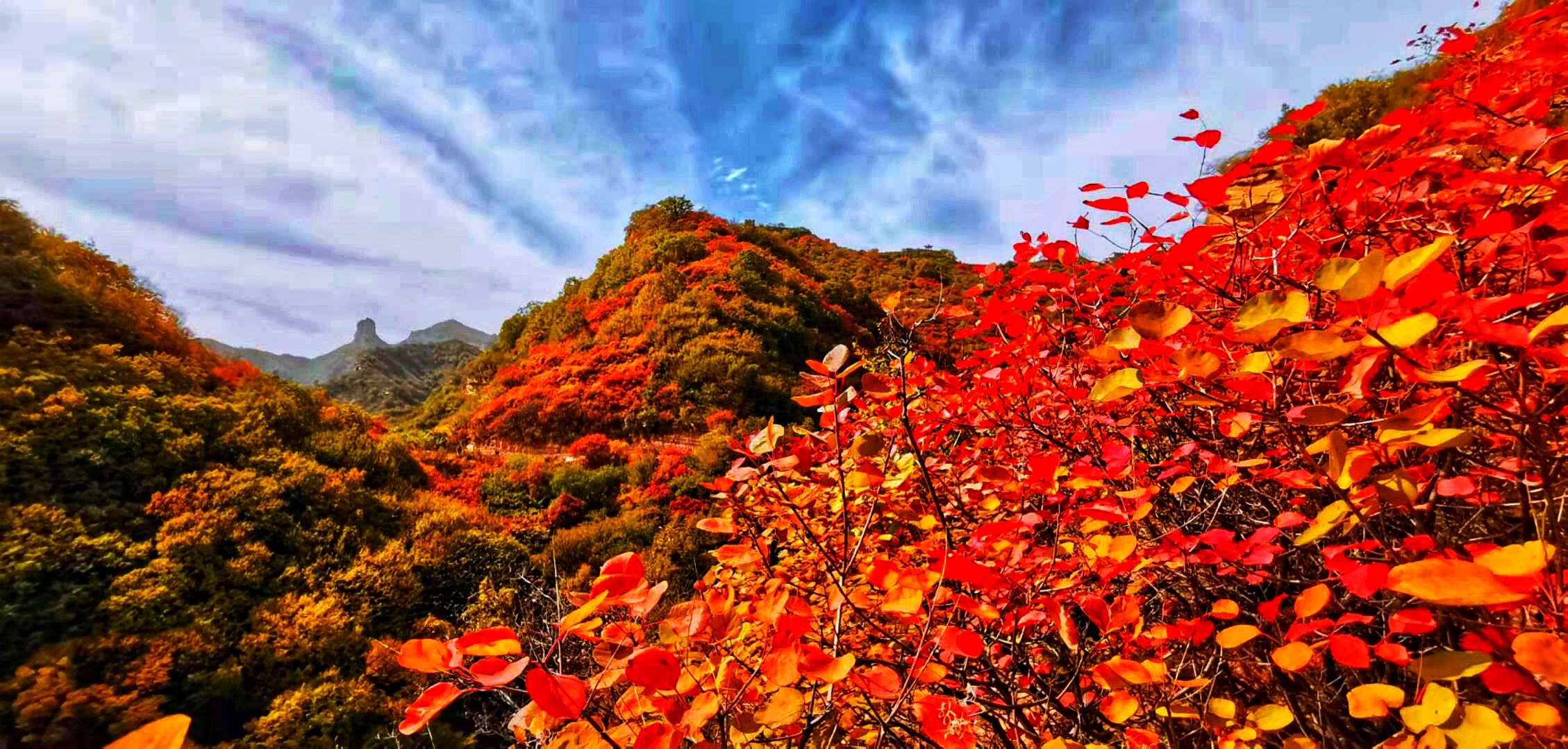 金秋赏红叶,印象九龙峡