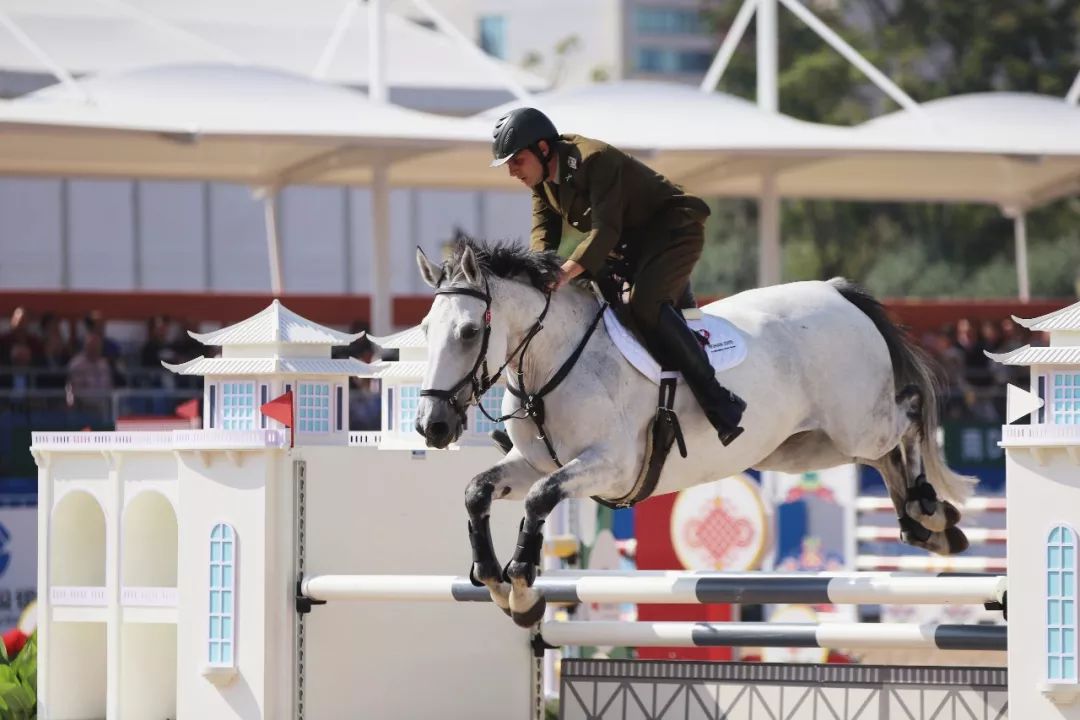 马术项目在武汉商学院首战打响大批高颜值骑士来袭