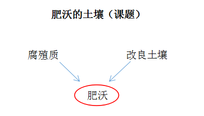 《肥沃的土壤》教學案例_動植物