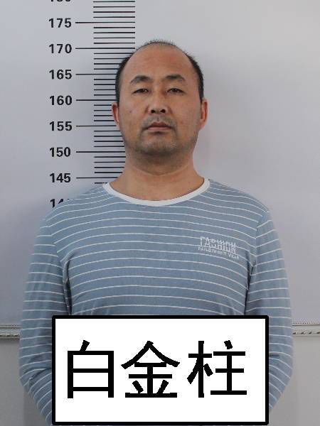 近期,根据内蒙古自治区公安厅指定管辖的决定,乌海市公安局扫黑办在