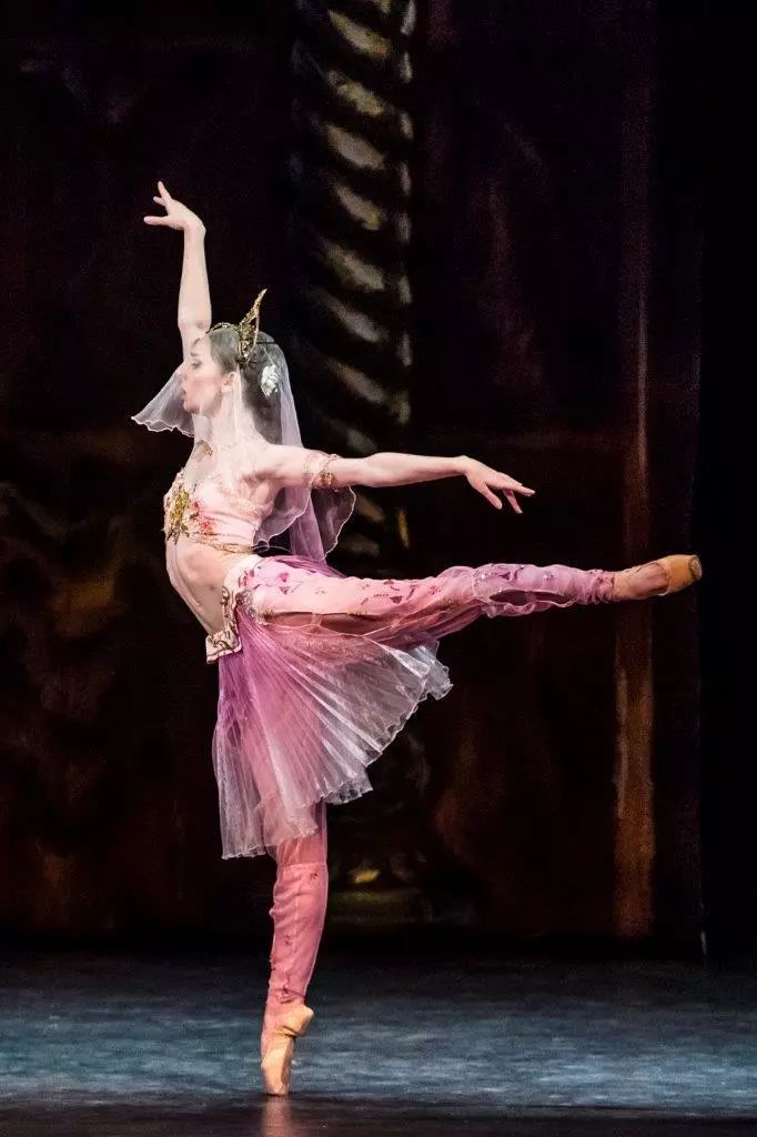 《舞姬》中无论是曼妙灵动的独舞和双人舞,还是行云流水的群舞,都令人